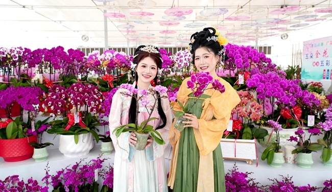 龙岩永定区：以花为媒绽芳华 “共富花场”促振兴