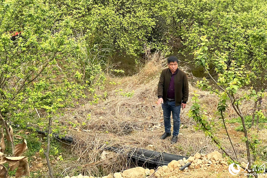 林善辉在山中沿途检查输水管道。人民网记者 林盈摄