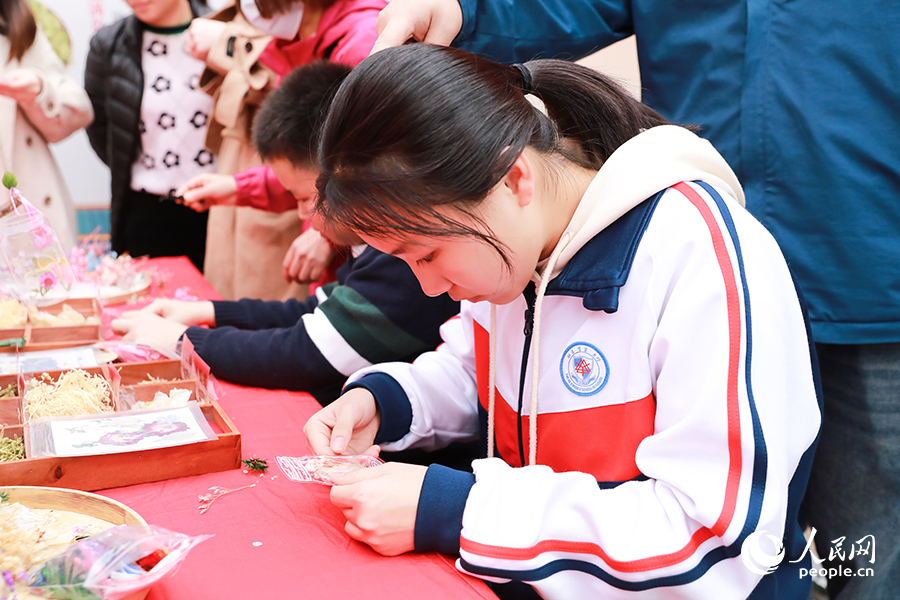 中药材不但能治病养生，还能用来diy书签。人民网 陈永整摄