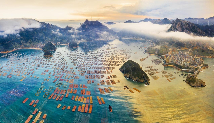 黄岐半岛鲍鱼养殖“黄金海湾”鉴江半岛。连江县融媒体中心供图