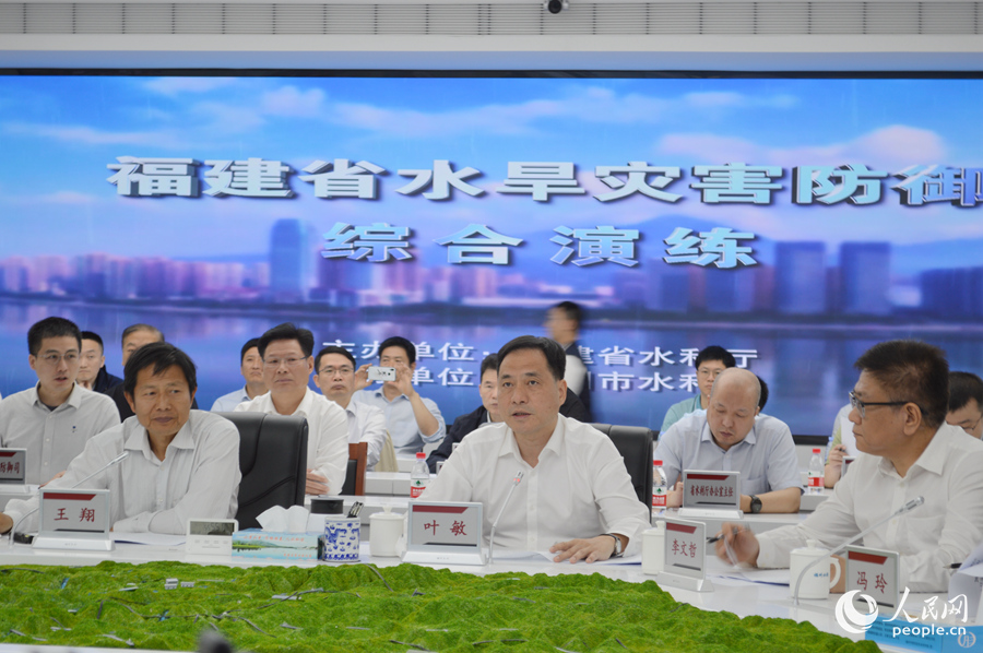 福建省水利厅厅长叶敏(左二)作点评讲话。人民网林东晓摄