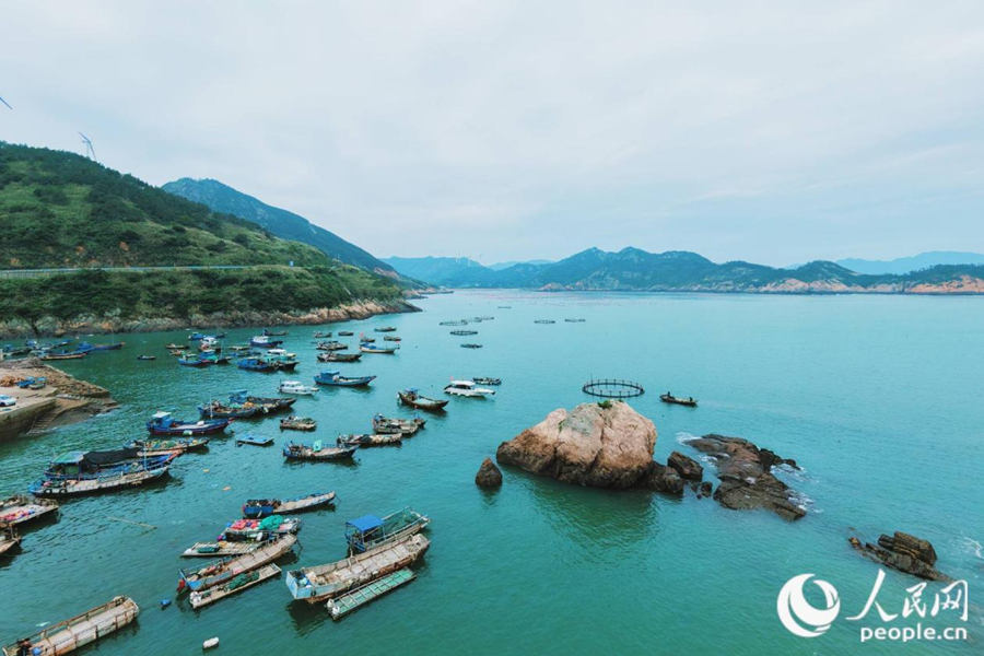 作业渔船与养殖网箱错落碧波之上,成为霞浦特色景观。人民网 林铭贤摄