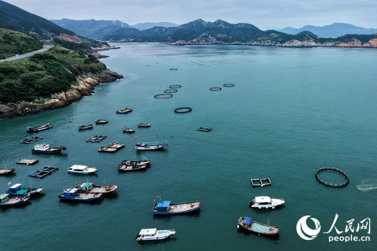 作业渔船与养殖网箱错落碧波之上,成为霞浦特色景观。人民网 林铭贤摄