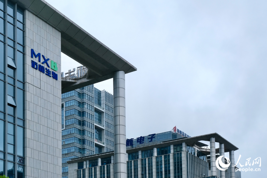 高新区产业园内,迈新生物与海峡金投集团仅隔了一栋楼。人民网 欧阳奕奕摄