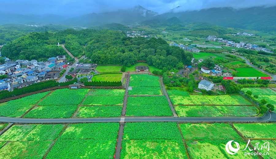 如今的古田镇已是旧貌换新颜。人民网 李昌乾摄