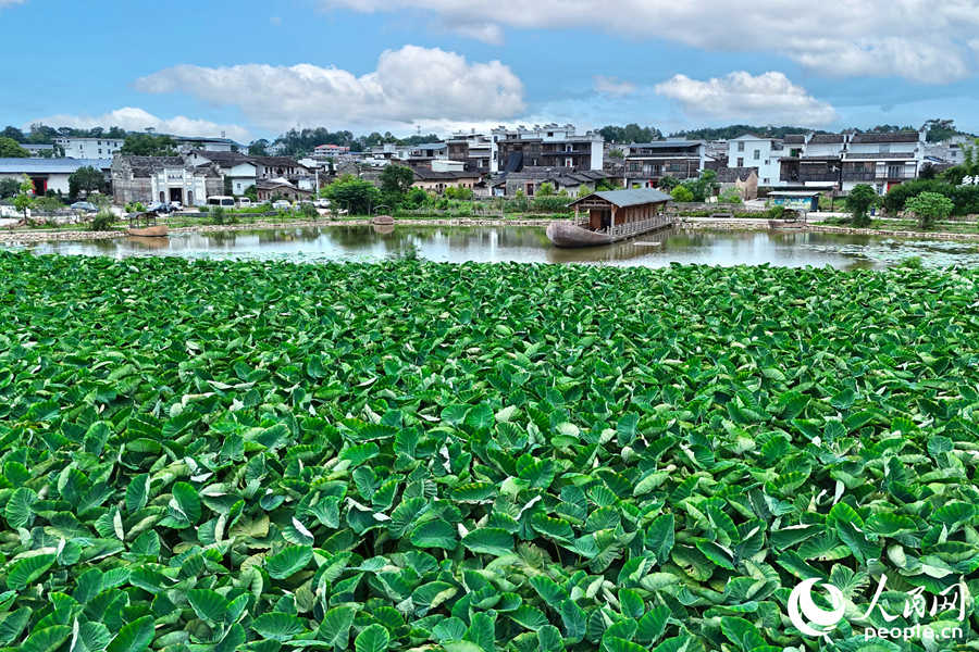 古船、古民居与自然景观融为一体。人民网 李昌乾摄