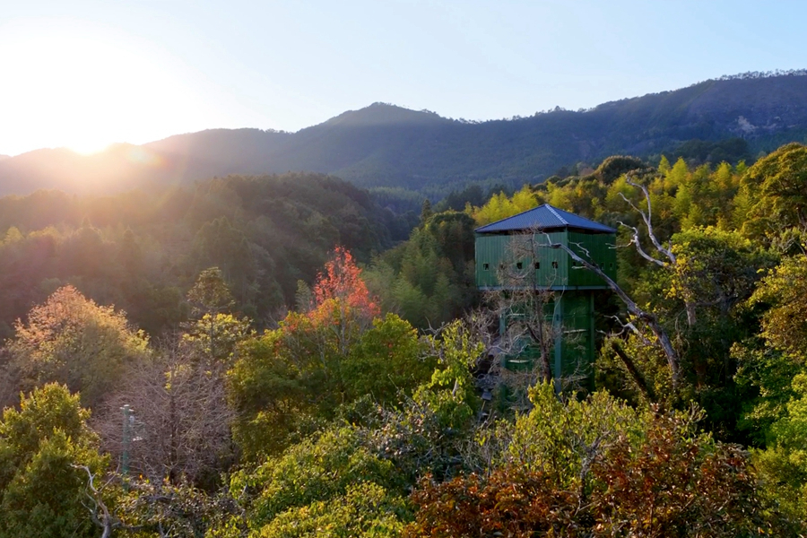 明溪的一处观鸟塔。明溪县融媒体中心供图