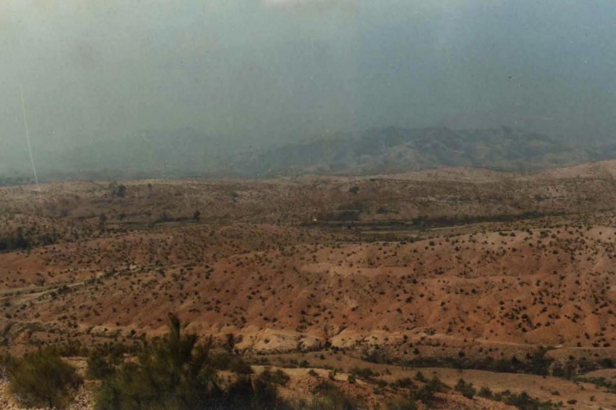 长汀县罗地草山（1981年）。长汀县水土保持中心供图