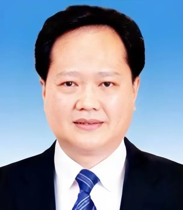 陈冬（资料图）