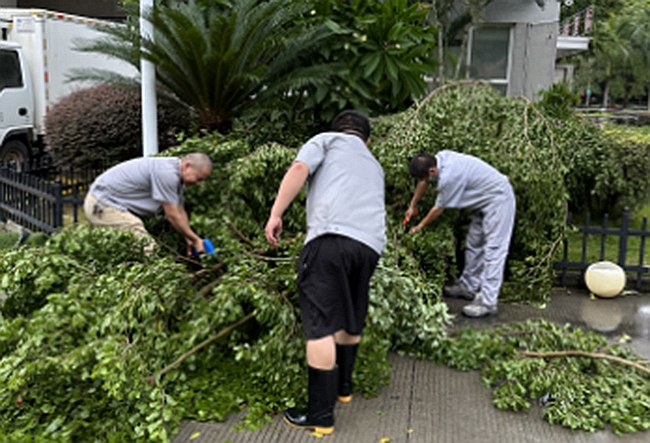厦门市湖里区妇幼保健院及时组织人员对灾后情况进行清理。