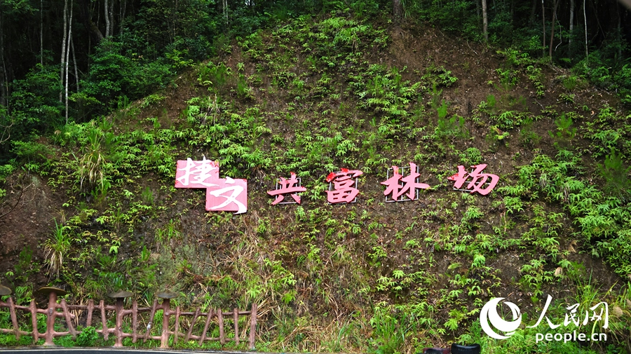 捷文共富农场。人民网 杨灏昱摄