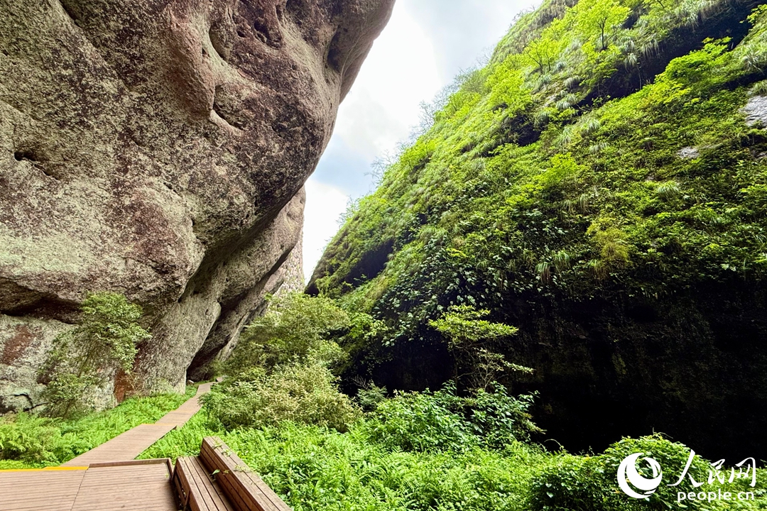 地壳运动产生的裂隙。实习生 林翔摄