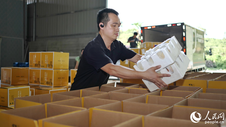 黄桃在集散中心打包分装后，准备发往全国各地。人民网 李昌乾摄