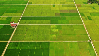 “小傅，咱种的粮增产啦！”
为了让“荒山披绿”，也为了“拔掉”水土流失带来的“穷根子”，1999年起，长汀人民先用十年“退荒复绿”，又用十年“变荒为宝”。