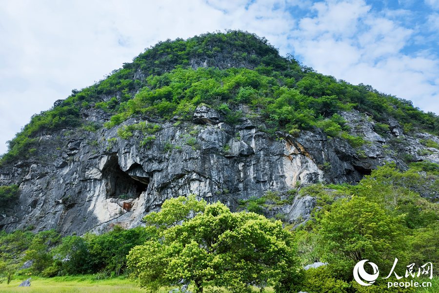 灵峰洞相对高度约37米，考古发掘面积230平方米，是我国东南沿海地区发现最早的旧石器时代洞穴遗址，把福建有人类活动的历史提前了近20万年。人民网 杨灏昱摄