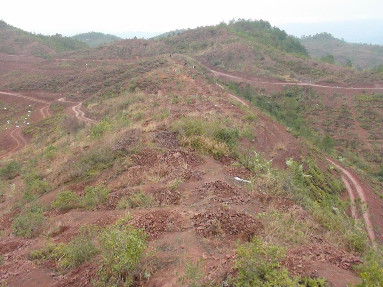 宁化县水土治理前。宁化县水土保持中心供图