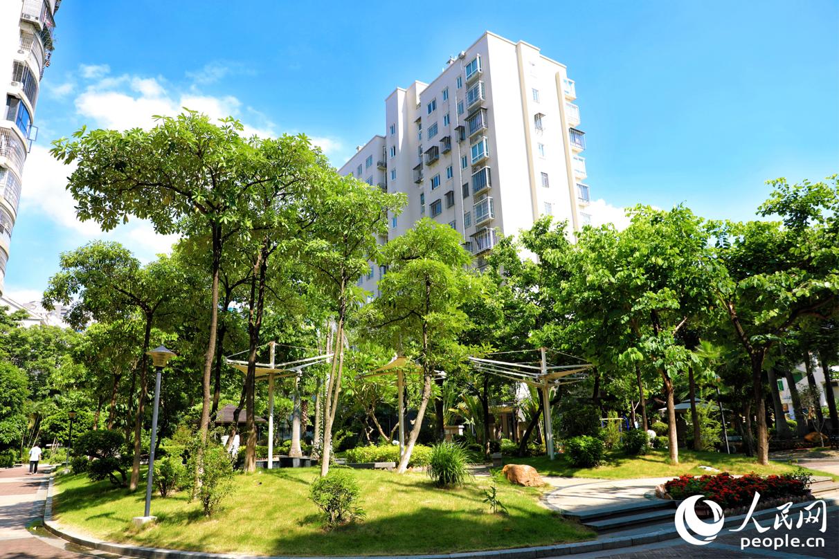 厦门市集美区宁宝社区通过党建引领“自治 物业顾问”推动社区环境整治焕新。人民网 李唯一摄