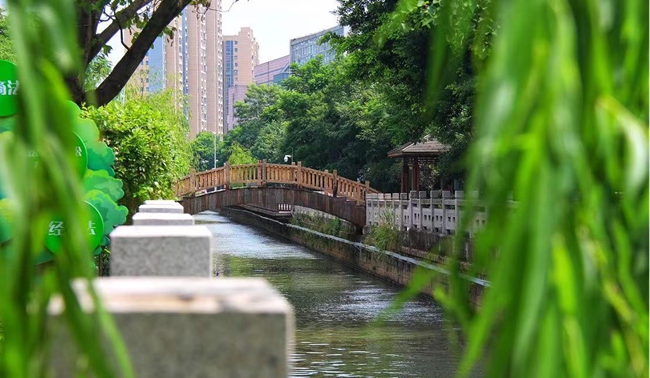 整治后的君竹河。马尾区河长办供图