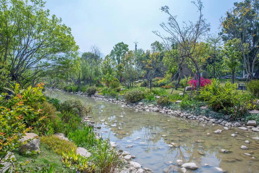 陈厝河。晋安区河长办供图