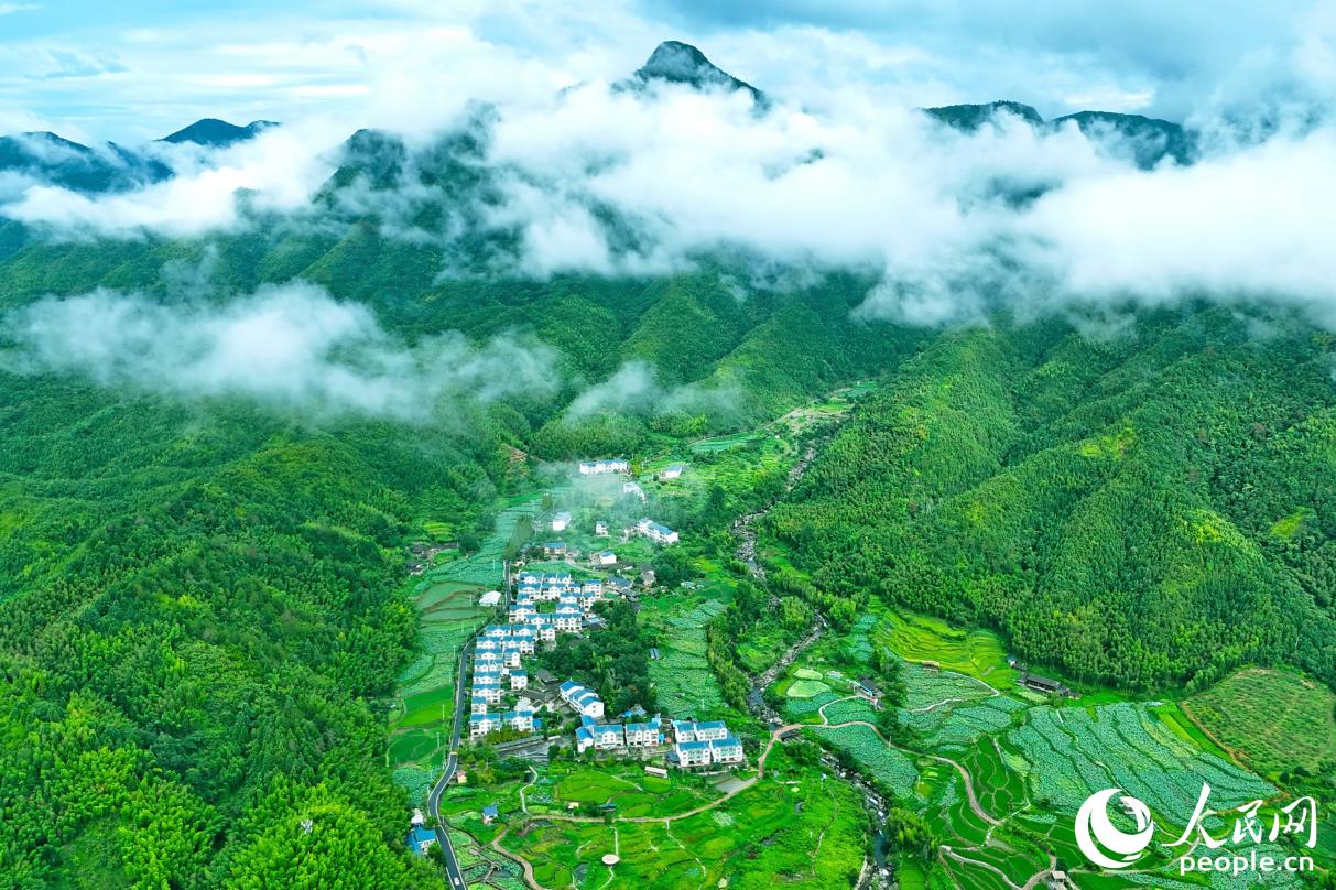 “绿色家底”给三明带来了更多发展红利。人民网 李昌乾摄