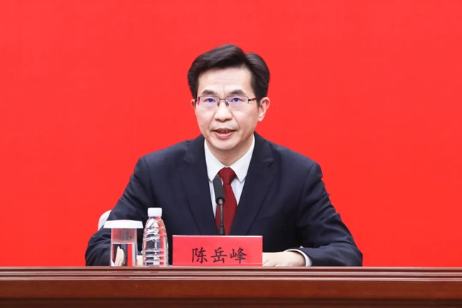 陈岳峰(资料图)。人民网 陈永整摄