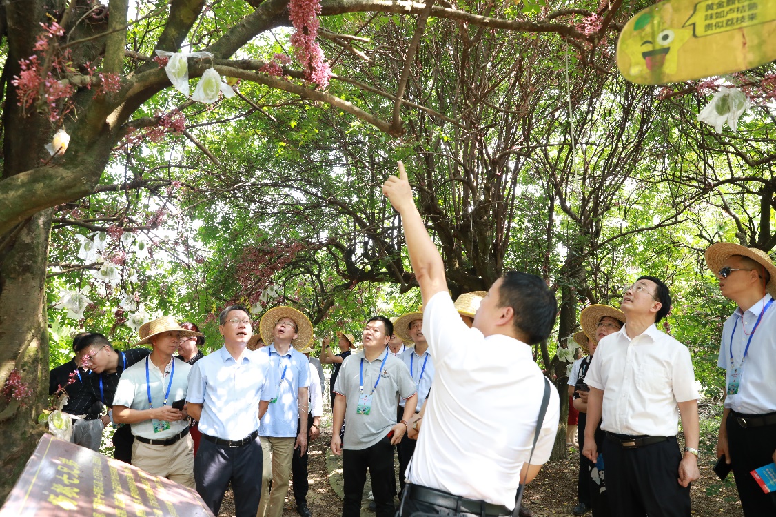 “侨领故乡行”邀请有影响力的闽籍海外侨领回乡参访。福建省政协供图